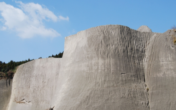 日本ゼノリス 株式会社