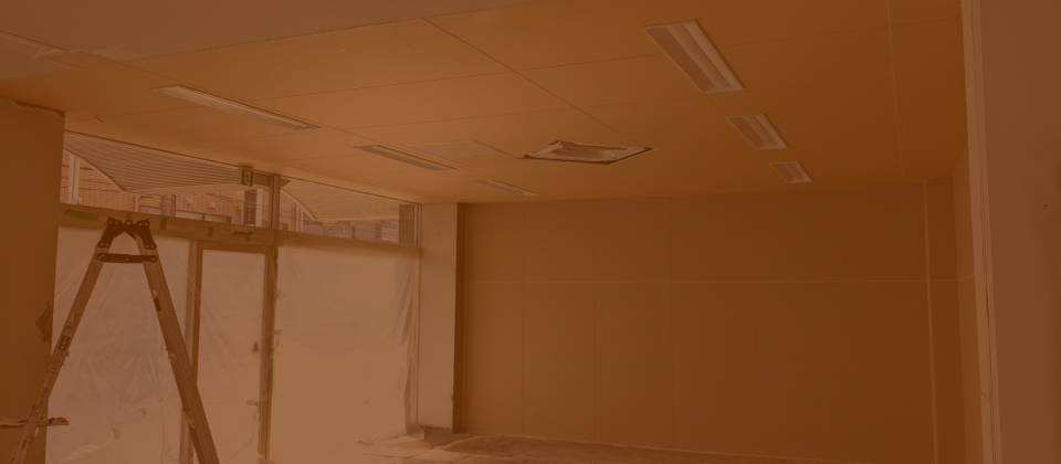 日本ゼノリス 株式会社